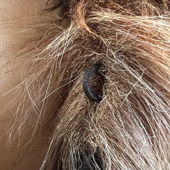 Amuse Society Faux Fur Chevron Jacket – Size XS - Picture 13 of 14